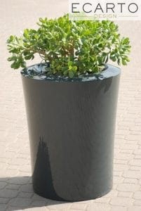 DONICA GARAFIA Fi 60x75