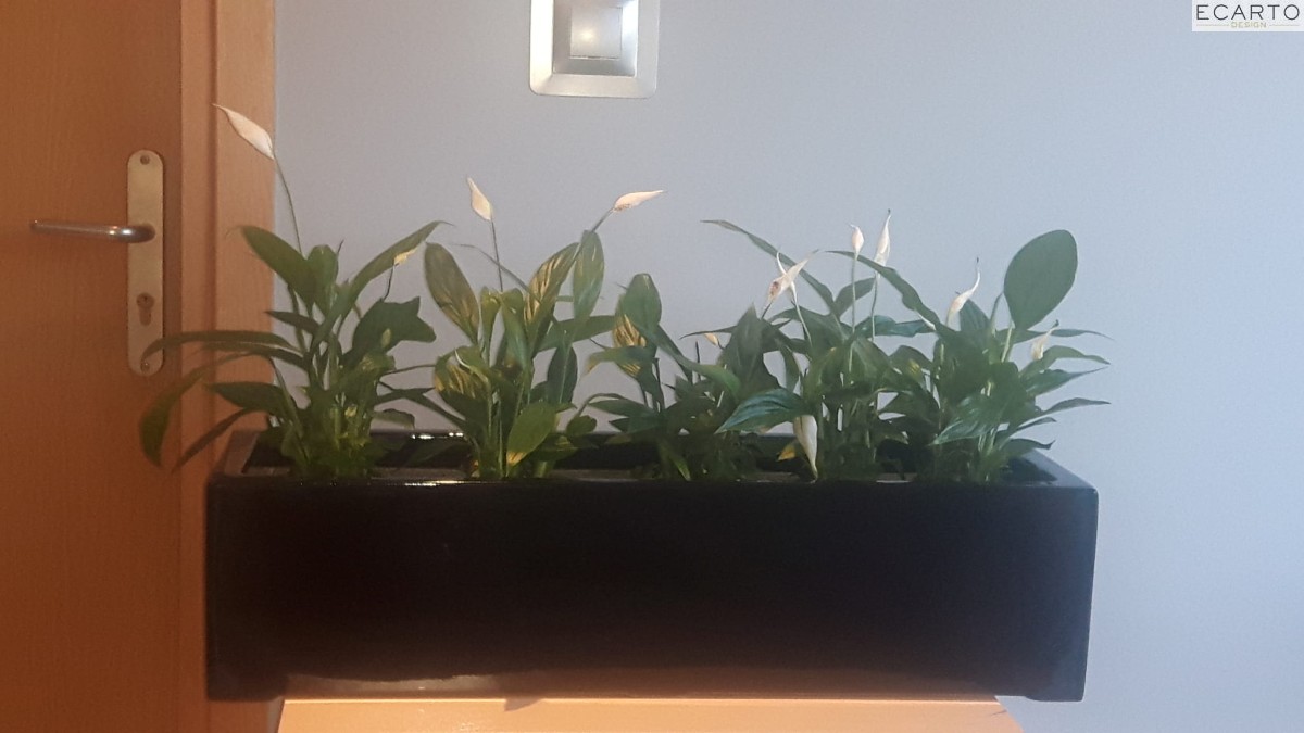 Donica  LARGO 75x28x17 CZARNY POŁYSK 