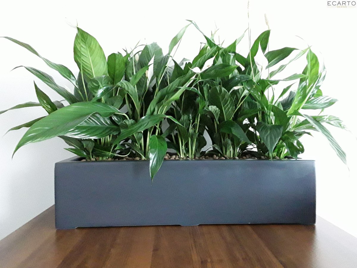 Donica  LARGO 75x28x17 ANTRACYT MAT