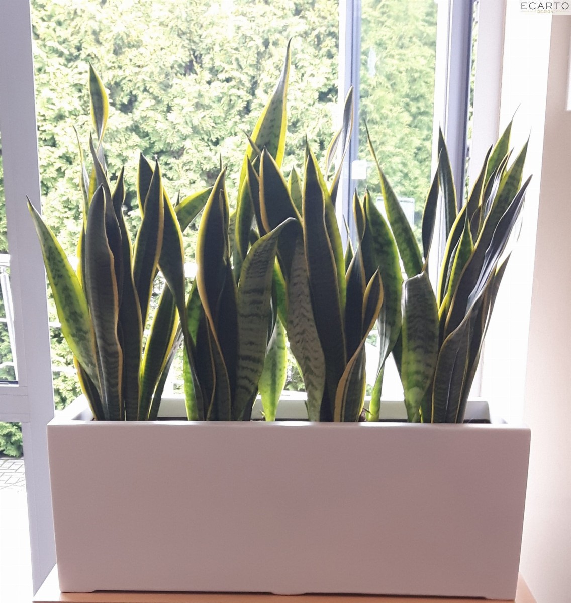 Donica  LARGO 75x28X28 BIAŁY POŁYSK 
