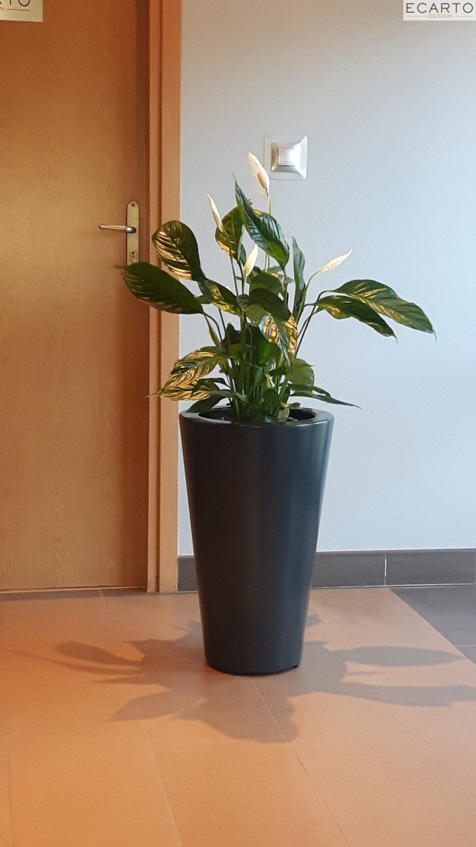 Donica  LEY Ø36x66 ANTRACYT MAT