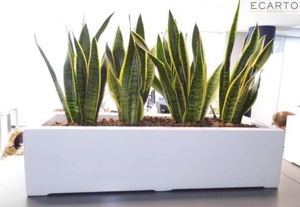 Donica  LARGO 75x28X17 BIAŁY POŁYSK  