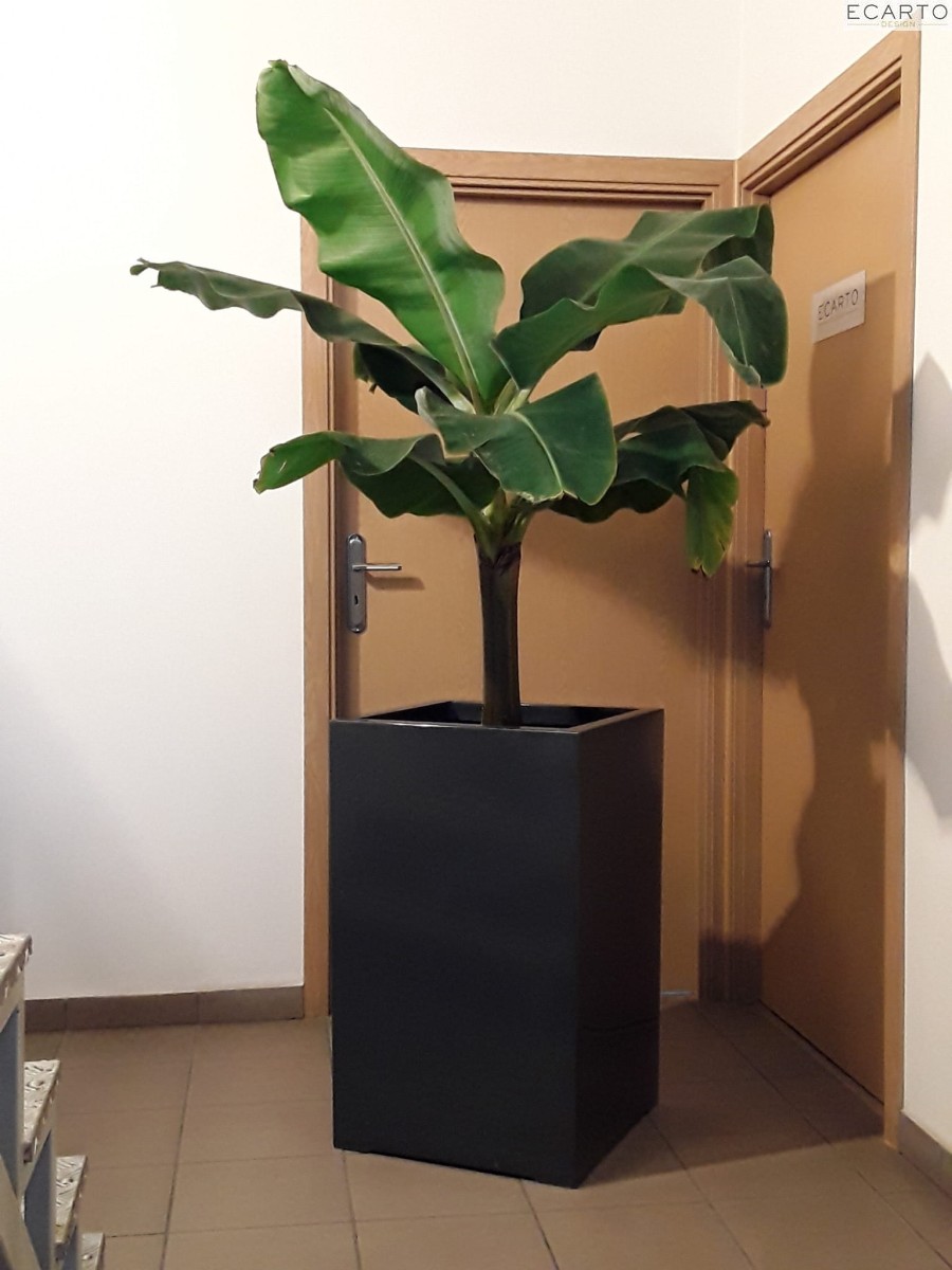 Donica  CUBO ALTA 50X50X100 ANTRACYT MAT