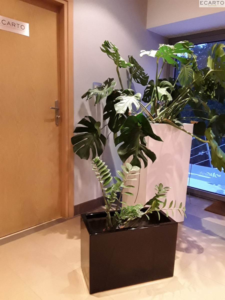 Donica  LARGO 60x30x40 CZARNY POŁYSK