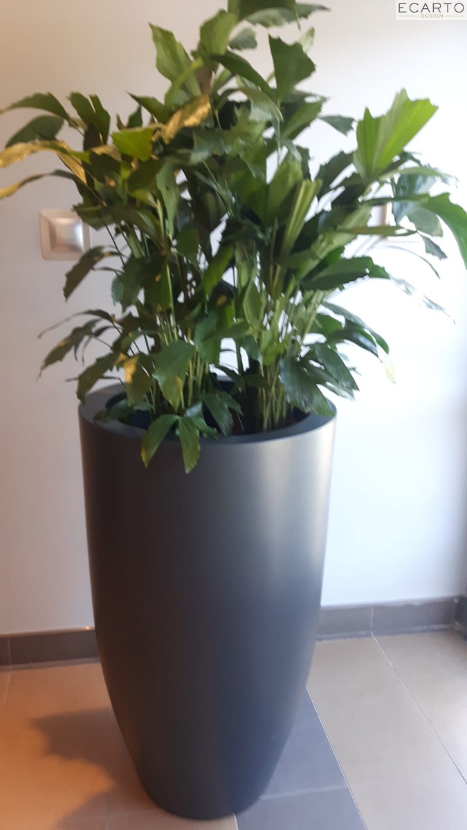 Donica  CALIZ Ø57X100  ANTRACYT MAT