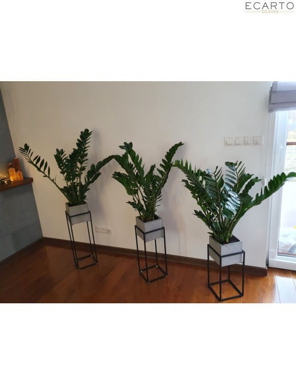 Stojak Loft Z Donicą Betonową Wysokość 50cm