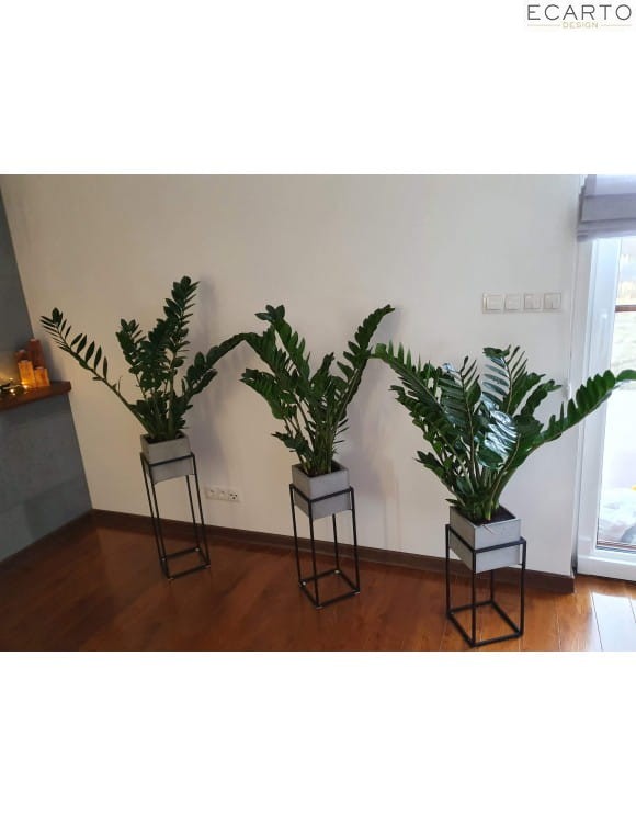 Stojak Loft Z Donicą Betonową Wysokość 70cm