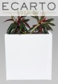 10050100.jpg