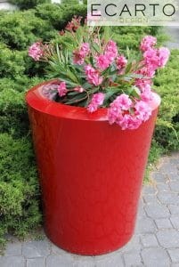 DONICA GARAFIA Fi 50x60