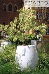 DONICA SILBA  Ø100x100 CZARNY POŁYSK