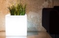 Pixel pot light 3.jpg
