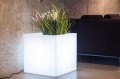 Pixel pot light 4.jpg