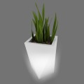 Vaso light z ro_lin_.jpg