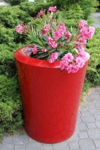 DONICA GARAFIA Fi 50x60