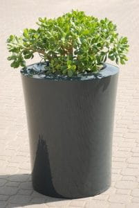 DONICA GARAFIA Fi 60x75