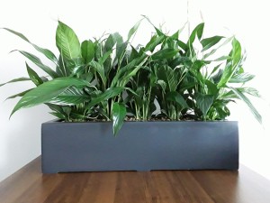 Donica  LARGO 75x28x17 ANTRACYT MAT