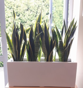 Donica  LARGO 75x28X28 BIAŁY POŁYSK 