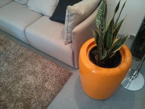 DONICA TRACINO  Ø55x75 ANTRACYT MAT