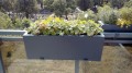 75 x 28 x 28 antr.mat.jpg