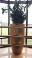 20170526_144608.jpg