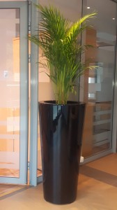 Donica  LEY Ø50X100 CZARNY POŁYSK
