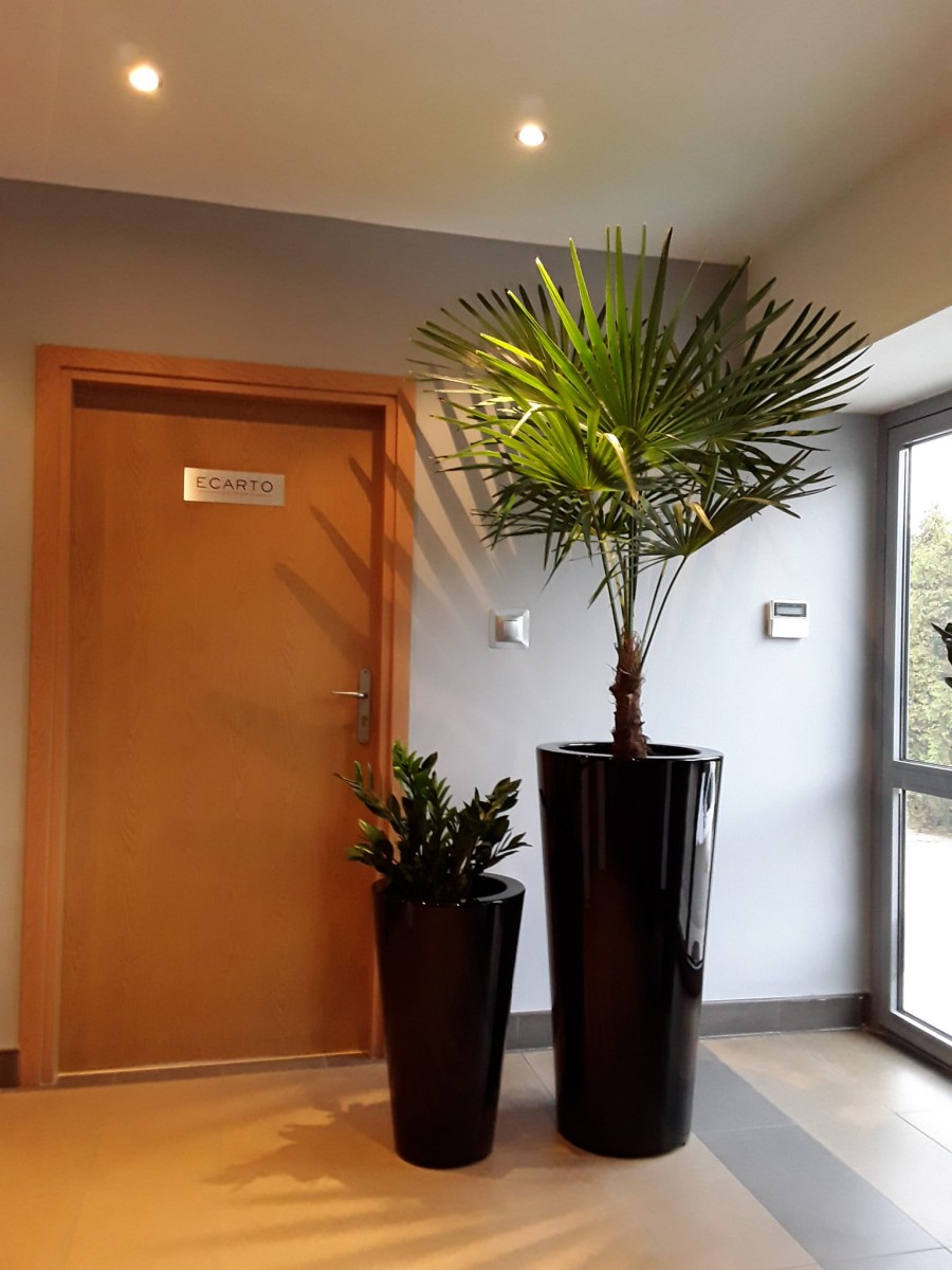 Donica  LEY Ø36x66 CZARNY POŁYSK