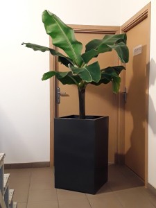 Donica  CUBO ALTA 50X50X80 ANTRACYT MAT