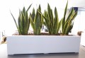 Donica 80x45x28 Largo.JPG