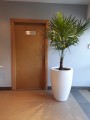 CALIZ fi 57 x 70 biały połysk.jpg