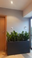 Largo 120 x 50 x 60 antracyt mat..jpg
