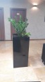 Cubo Alta 50 x 50 x 80 czarny połysk.jpg