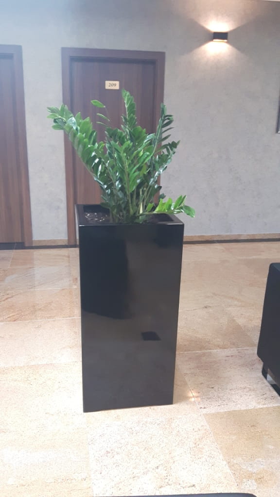 Donica  CUBO ALTA 50X50X100 CZARNY POŁYSK 