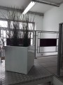 Cubo 50 x 50 x 50 biały połysk.jpg