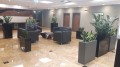 20170914_113738.jpg