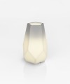 Donica Bari Light.jpg