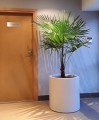20190924_183011.jpg
