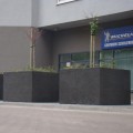 1562739595.1166.jpg