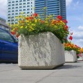 1562740875.2689.jpg