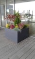 20180502_112909.jpg