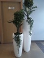 2Tivoli Poco + Alto23.jpg