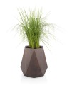 Flavi_Donica Flavi Corten + roślina.jpg
