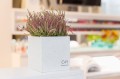 _MG_5370.jpeg