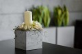 _MG_2760-Edit.jpeg