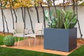 CUBO10080ROSLINA.jpg