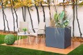 CUBO8080ROSLINA.jpg