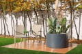 CIRCULO10060ROSLINA.jpg