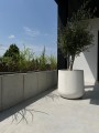bowll-2.jpg